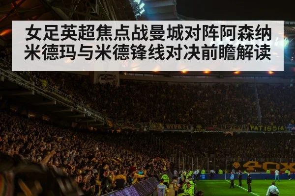 football stadium night crowd
